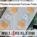 Anaconda Strong Formula Pills 24